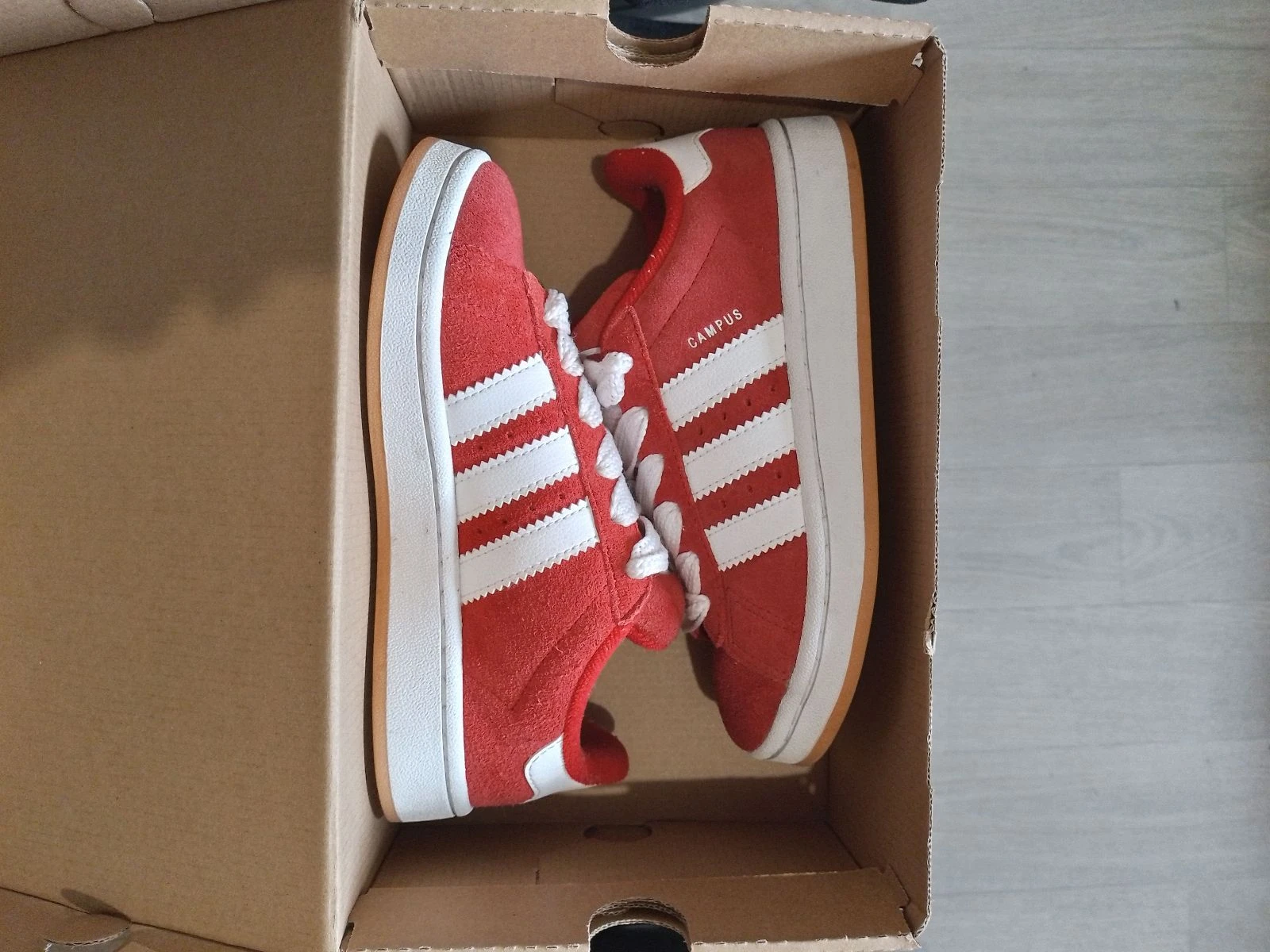Adidas campus – photo 8